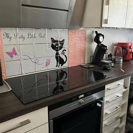 Family Host Joy's 民宿 巴特洪堡